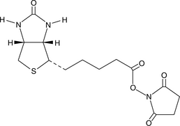 Biotin-<wbr/>NHS