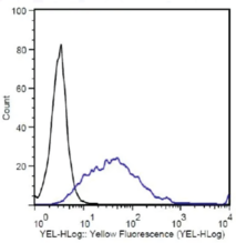 Mouse Anti-DYKDDDDK IgG:<wbr>SureLight<sup>™</sup> R-PE