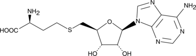 S-<wbr/>Adenosylhomocysteine