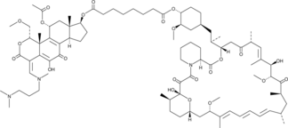 Wortmannin-<wbr/>Rapamycin Conjugate