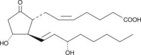 Prostaglandin E<sub>2</sub>