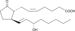 11-<wbr/>deoxy Prostaglandin E<sub>2</sub>