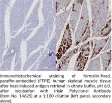 Irisin Polyclonal Antibody