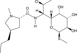 Clindamycin