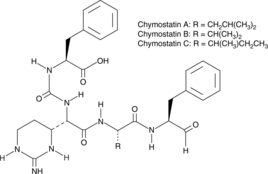 Chymostatin