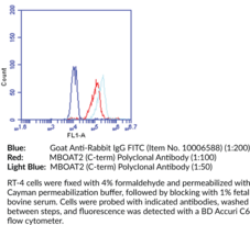 MBOAT2 (C-<wbr/>Term) Polyclonal Antibody