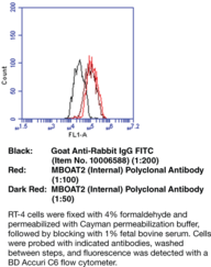 MBOAT2 (Internal) Polyclonal Antibody