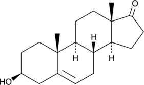 Dehydroepi<wbr/>androsterone