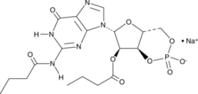 Dibutyryl-Cyclic GMP (sodium salt)