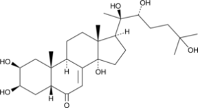 20-<wbr/>hydroxy Ecdysone