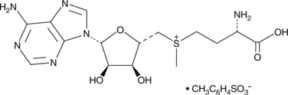 S-(5'-<wbr/>Adenosyl)-L-<wbr/>methionine (tosylate)