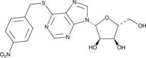 S-(4-<wbr/>Nitrobenzyl)-<wbr/>6-thioinosine