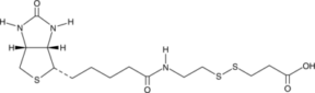 3-[2-N-<wbr/>(Biotinyl)<wbr/>aminoethyl<wbr/>dithio]<wbr/>propanoic Acid