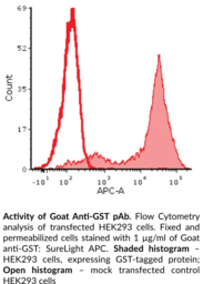 Goat Anti-GST IgG:SureLight<sup>™</sup> APC