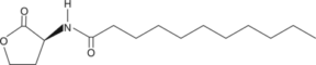 N-undecanoyl-<wbr/>L-Homoserine lactone