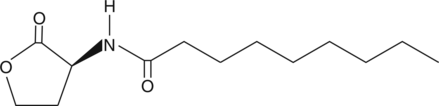 N-nonanoyl-<wbr/>L-Homoserine lactone