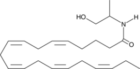 Eicosa<wbr/>pentaenoyl 1-propanol-2-amide