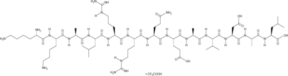 Autocamtide-2-related Inhibitory Peptide