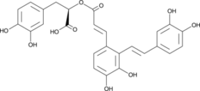 Salvianolic Acid A