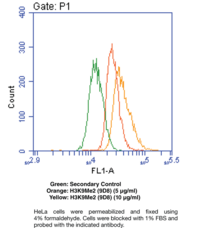 Histone H3K9Me2 Monoclonal Antibody (Clone 9D8)