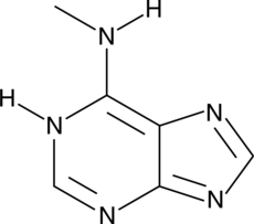 N<sup>6</sup>-Methyladenine