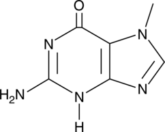 7-Methylguanine