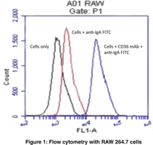 Scavenger Receptor B2/CD36 Monoclonal Antibody (Clone JC63.1)