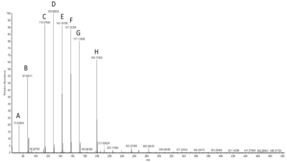 Short-chain Fatty Acid LC-MS Mixture