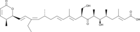 Kazusamycin A