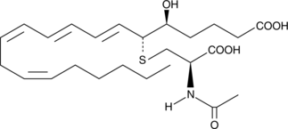 N-<wbr/>acetyl Leukotriene E<sub>4</sub>