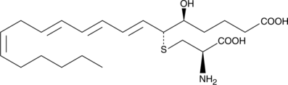 11-<wbr/><em>trans</em> Leukotriene E<sub>4</sub>