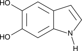 5,6-dihydroxy Indole