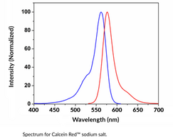 Calcein Red™ (sodium salt)