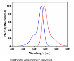 Calcein Orange™ (sodium salt)