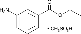 Ethyl 3-Aminobenzoate (methane<wbr/>sulfonate)