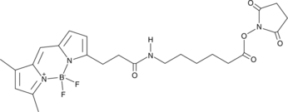 3-BODIPY-pro<wbr/>panoylamino<wbr/>caproic Acid N-hydroxy<wbr/>succinimide ester