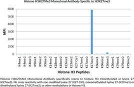 Histone H3K27Me3 Monoclonal Antibody