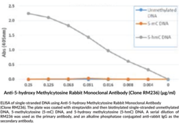 Anti-5-hydroxy Methylcytosine Rabbit Monoclonal Antibody (Clone RM236)