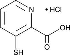 3-Mercaptopicolinic Acid (hydro<wbr/>chloride)