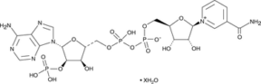 NADP<sup>+</sup> (hydrate)