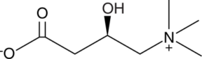 L-Carnitine