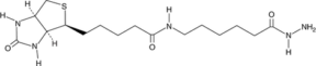 Biotin LC hydrazide