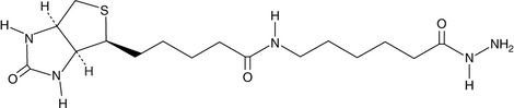 Biotin LC hydrazide