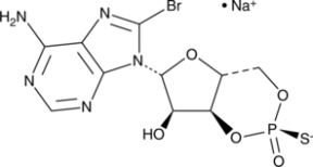 Rp-8-bromo-<wbr/>Cyclic AMPS (sodium salt)