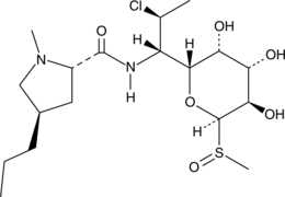 Clindamycin Sulfoxide