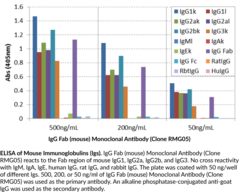 IgG Fab (mouse) Monoclonal Antibody