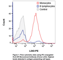 HLA-DR Monoclonal Antibody (Clone L243)