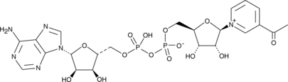 3-Acetyl<wbr/>pyridine NAD