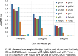 IgG (mouse) Monoclonal Antibody (Clone RMG07)