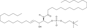 Sphingomyelin (bovine spinal cord)